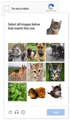 Voorbeeld Captcha dierenfoto's