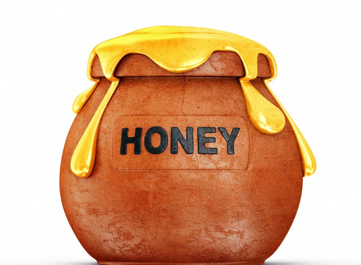 Honeypot