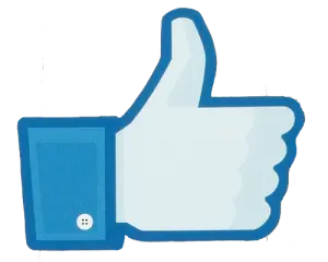 Like facebook redactioneel 300x240 FitWyI1NTAiLCI1NTAiXQ