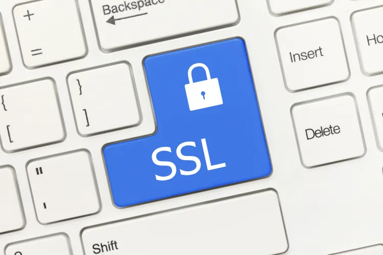 SSL FillWyI3NTAiLCI1MDAiXQ