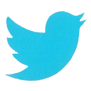 Twitter redactioneel 300x300 FitWyI1NTAiLCI1NTAiXQ