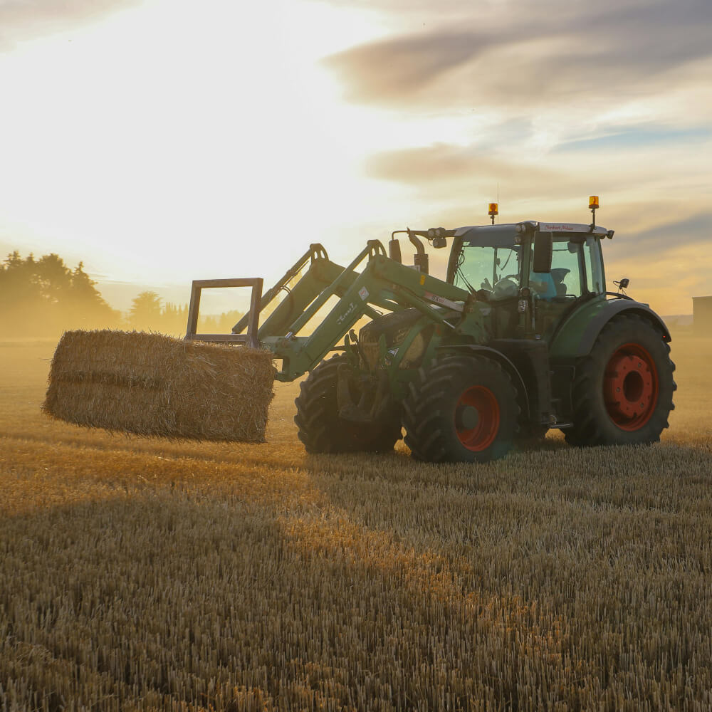 achterhoekseboeken(1) (1)