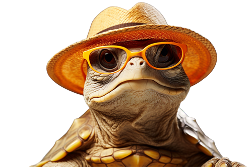 undraw Website setup re d4y9 FitWyI1NTAiLCI1NTAiXQ 1